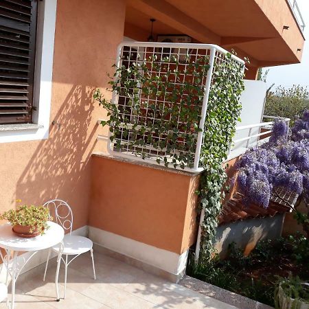 Apartmani Lina Umag Ngoại thất bức ảnh